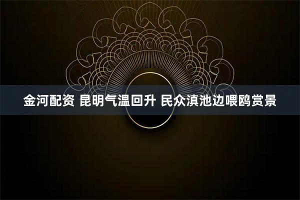 金河配资 昆明气温回升 民众滇池边喂鸥赏景