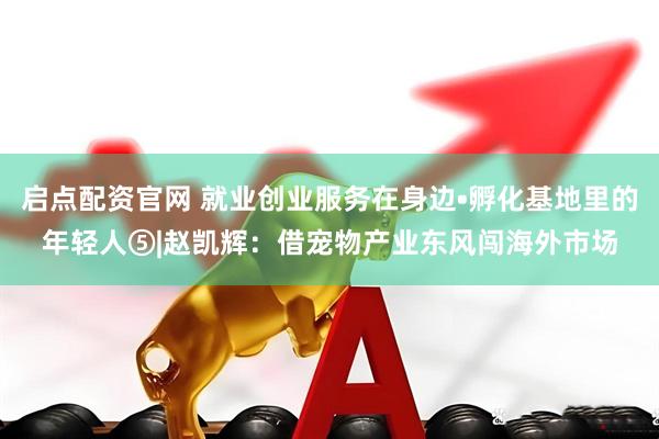 启点配资官网 就业创业服务在身边•孵化基地里的年轻人⑤|赵凯辉：借宠物产业东风闯海外市场