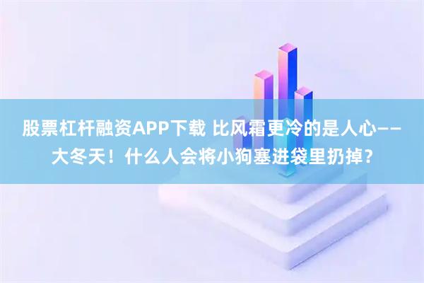 股票杠杆融资APP下载 比风霜更冷的是人心——大冬天！什么人会将小狗塞进袋里扔掉？